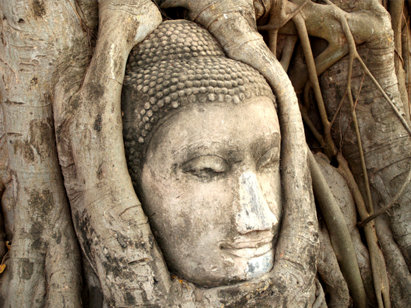 Wat Phra Mahathat Image