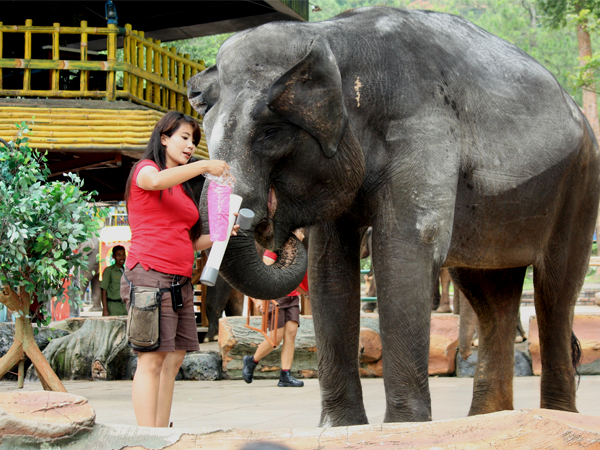 Elephant Lae Pavilion Image