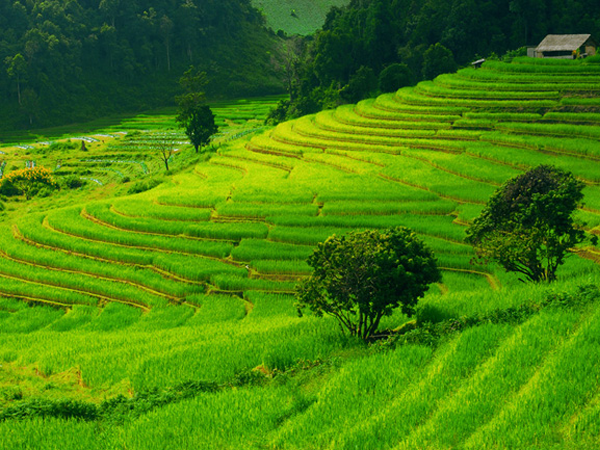 thaivisionholidays